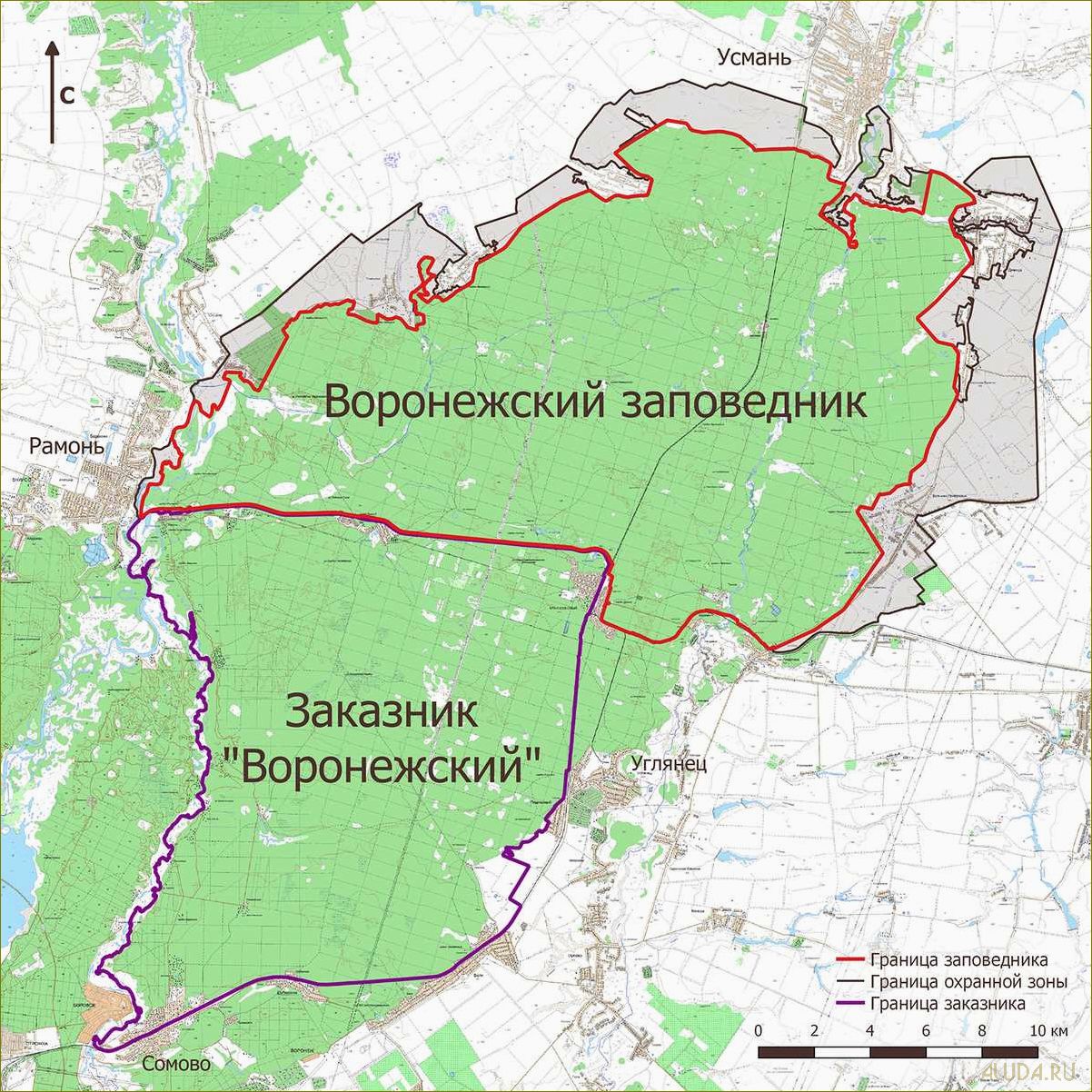 (отдых, воронежской, области, исследование, заповедников) Отдых в Воронежской области — исследование заповедников, уникальная природа и впечатляющие пейзажи