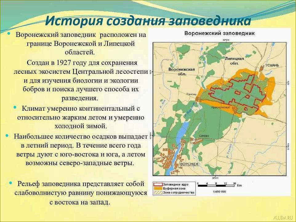 (отдых, воронежской, области, исследование, заповедников) Отдых в Воронежской области — исследование заповедников, уникальная природа и впечатляющие пейзажи