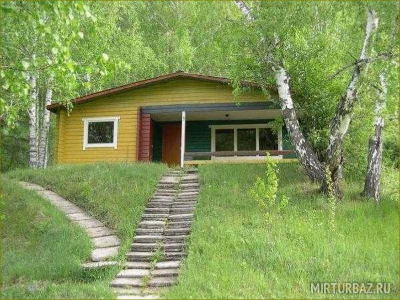 (отдых, муромцево, лучшая, база, отдыха) Отдых в Муромцево — лучшая база отдыха в Омской области
