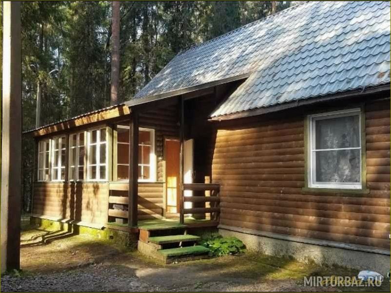 (лучшие, отзывы, базах, отдыха, новгородской) Лучшие отзывы о базах отдыха в Новгородской области — где провести незабываемый отпуск
