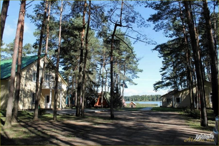 (отзывы, базе, отдыха, ульяновской, области) Отзывы о базе отдыха в Ульяновской области