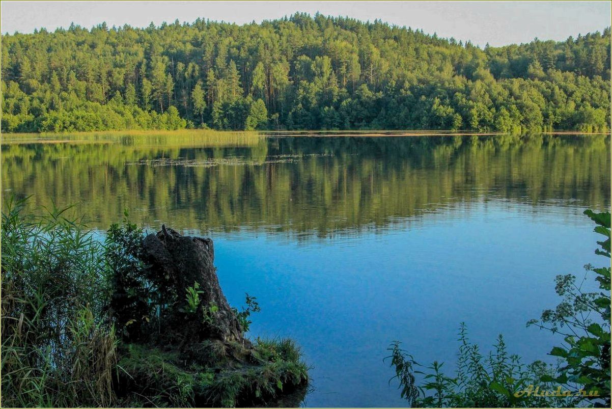 (озера, ульяновской, области, отдыха, релакса) Озера Ульяновской области для отдыха и релакса