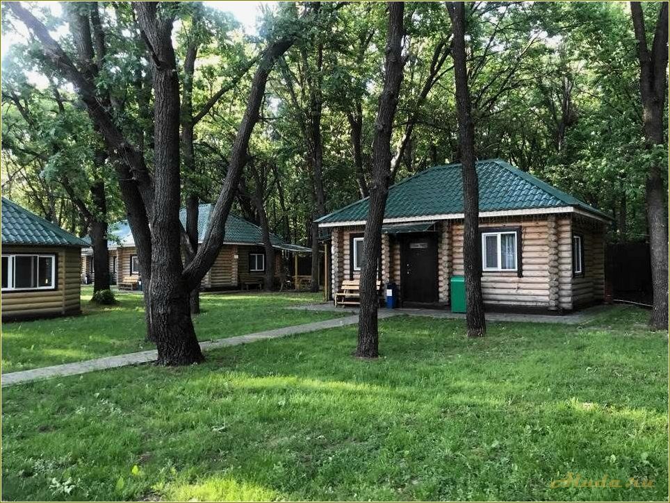 База отдыха в Рязаново, Ульяновская область: отличный выбор для отдыха на природе