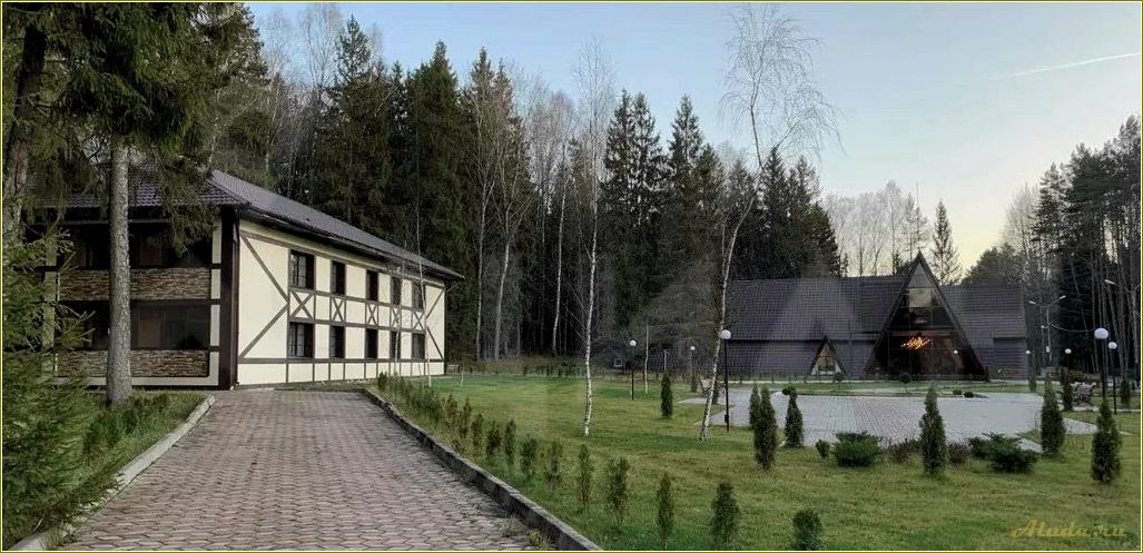 (стабна, смоленская, область, парк, звезд) Стабна смоленская область парк звезд база отдыха