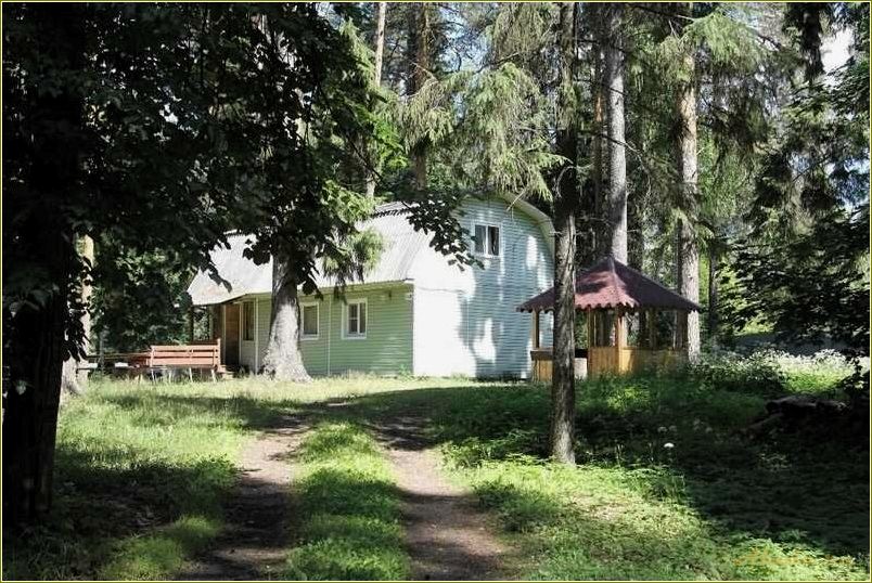 (тверская, область, отдых, лесу) Тверская область: отдых в лесу