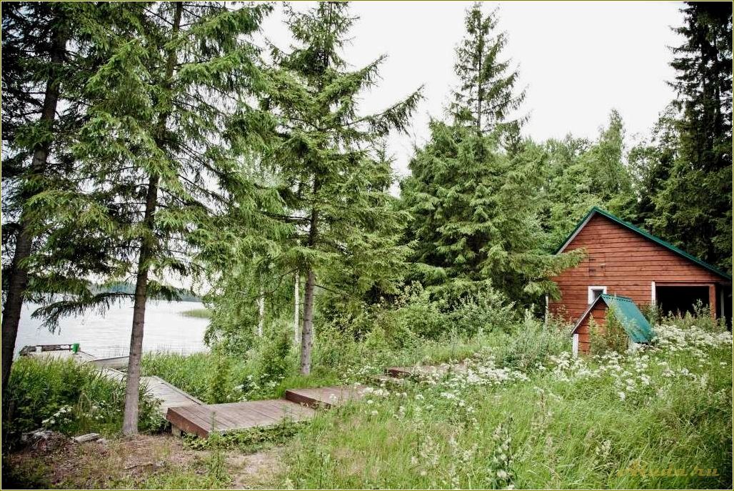 (тверская, область, отдых, лесу) Тверская область: отдых в лесу