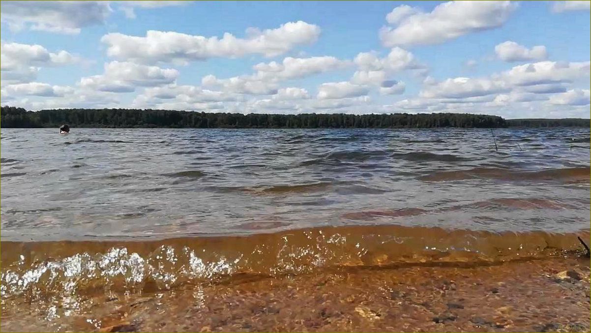 (уводьское, водохранилище, ивановской, области, идеальное) Уводьское водохранилище в Ивановской области — идеальное место для отдыха и развлечений на природе