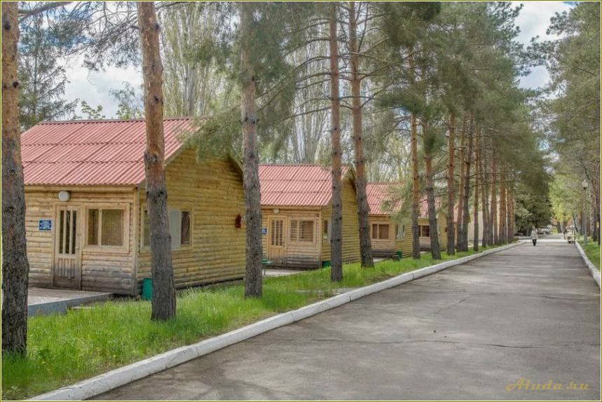 (загородный, отдых, саратовской, области) Загородный отдых в Саратовской области