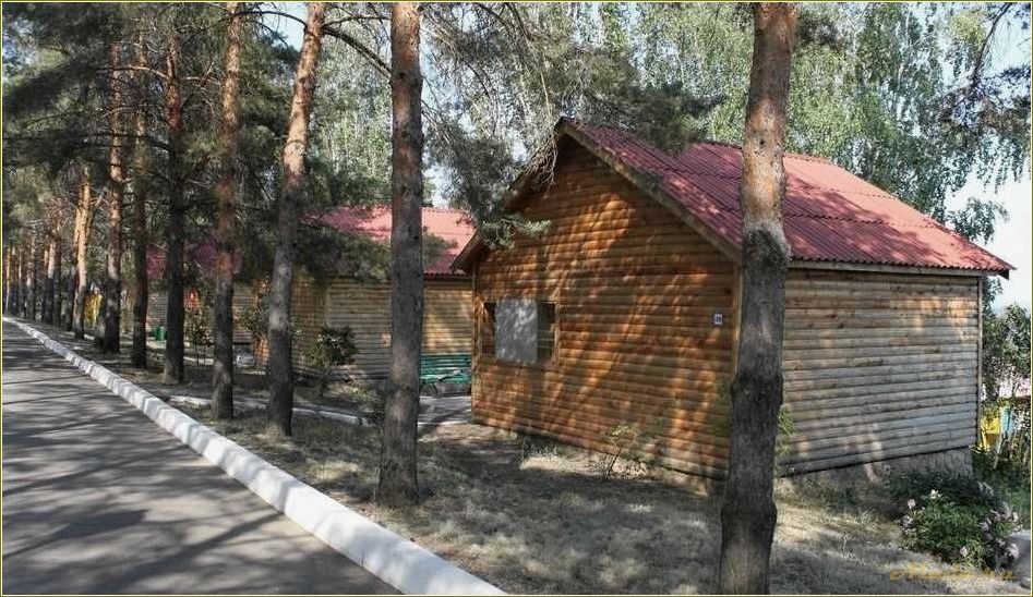 (загородный, отдых, саратовской, области) Загородный отдых в Саратовской области