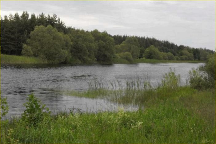 База отдыха 