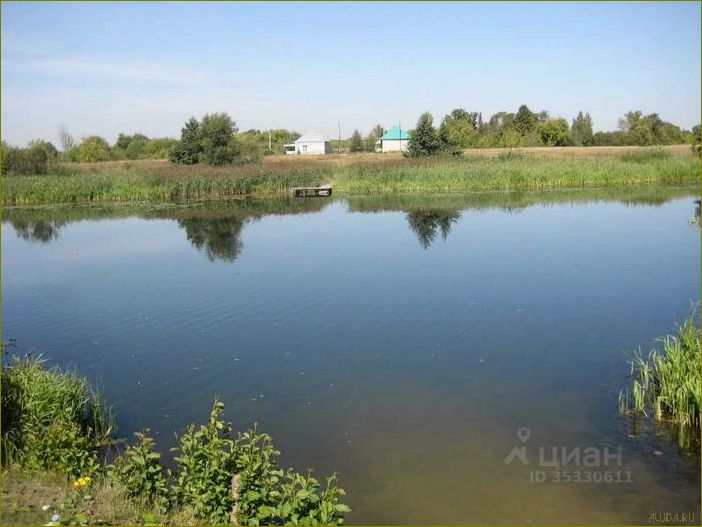 База отдыха 