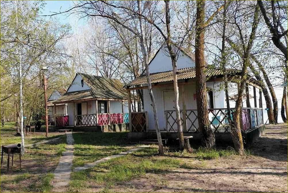 (база, отдыха, песчаном, побережье, белгородской) База отдыха на песчаном побережье Белгородской области — идеальное место для семейного отдыха и активного времяпровождения