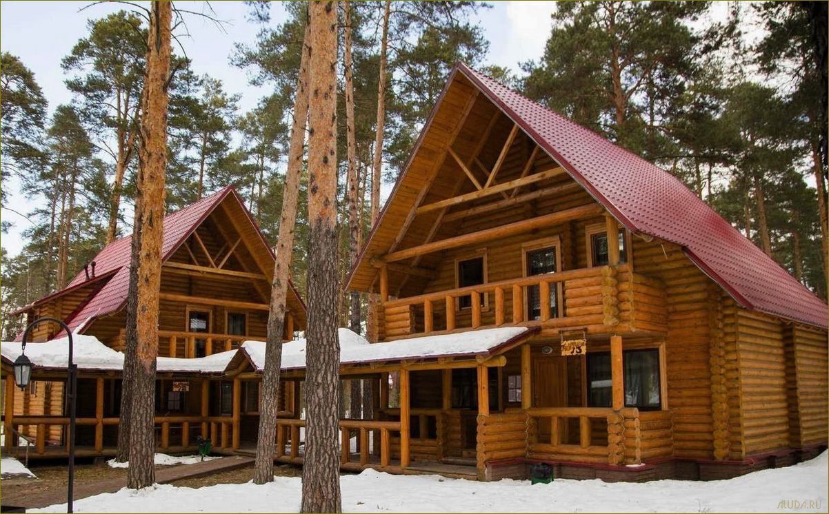 (база, отдыха, владимирская, область, зимний) База отдыха владимирская область зимний отдых — лучшие варианты для активного отдыха на природе, горнолыжного спорта и уникальных впечатлений!