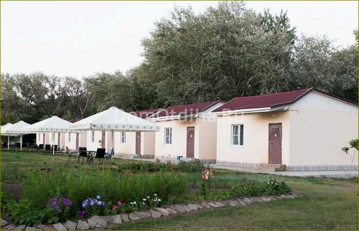 (база, отдыха, донская, миля, волгоградской) База отдыха