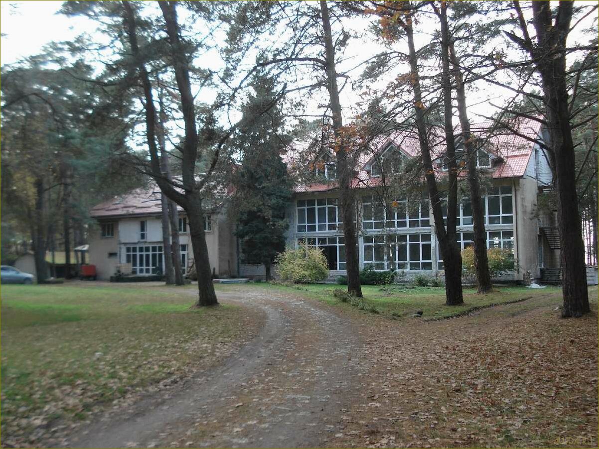 (база, отдыха, лебединое, калининградской, области) База отдыха