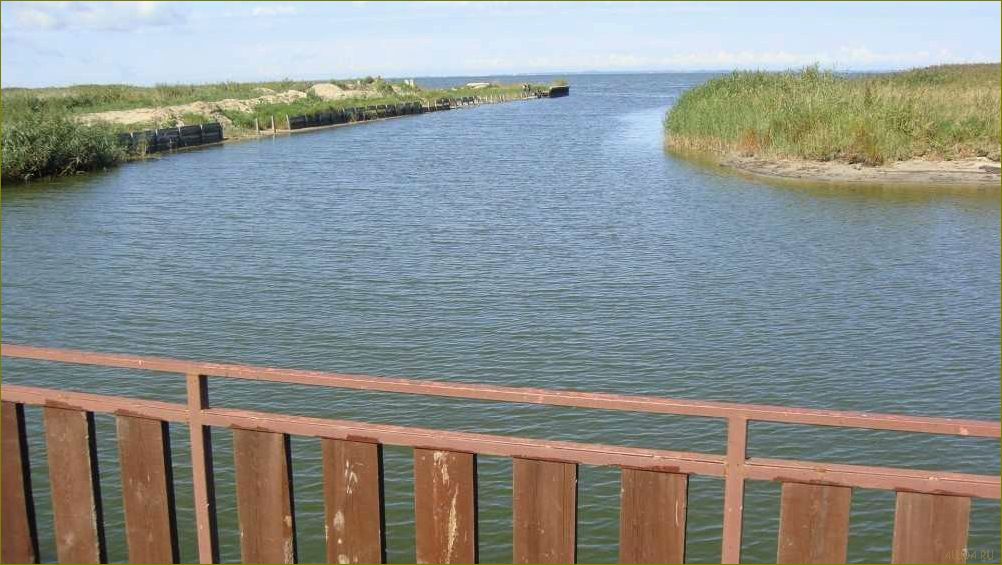 (база, отдыха, лебединое, калининградской, области) База отдыха