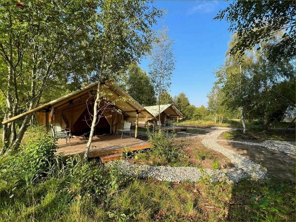 (база, отдыха, лебединое, калининградской, области) База отдыха