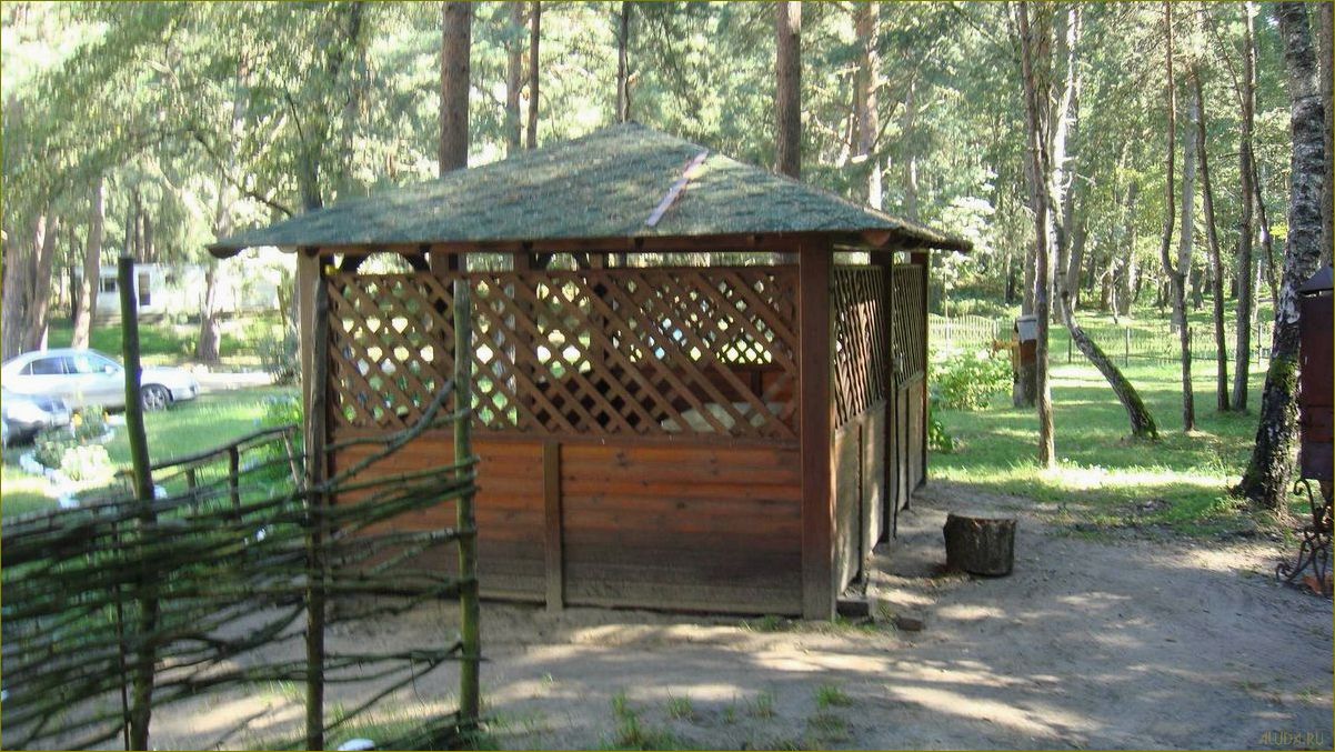 (база, отдыха, лебединое, калининградской, области) База отдыха