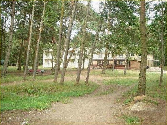 (база, отдыха, лебединое, калининградской, области) База отдыха