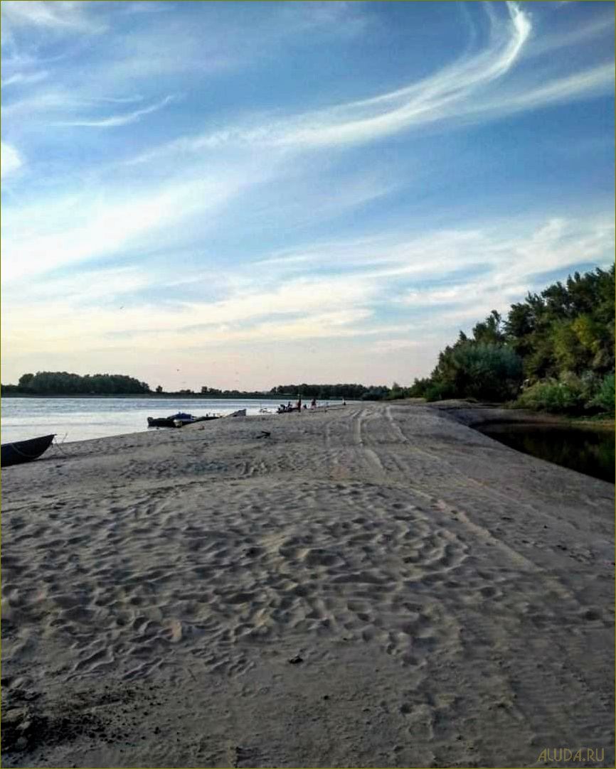 (уникальная, база, отдыха, астраханской, области) Уникальная база отдыха в Астраханской области среди лесов и рыбы, предлагающая незабываемые природные впечатления