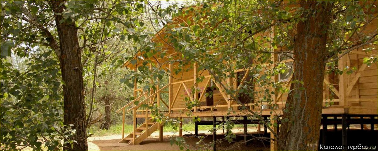 (уникальная, база, отдыха, астраханской, области) Уникальная база отдыха в Астраханской области среди лесов и рыбы, предлагающая незабываемые природные впечатления