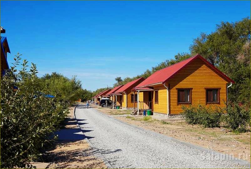 (уникальная, база, отдыха, астраханской, области) Уникальная база отдыха в Астраханской области среди лесов и рыбы, предлагающая незабываемые природные впечатления