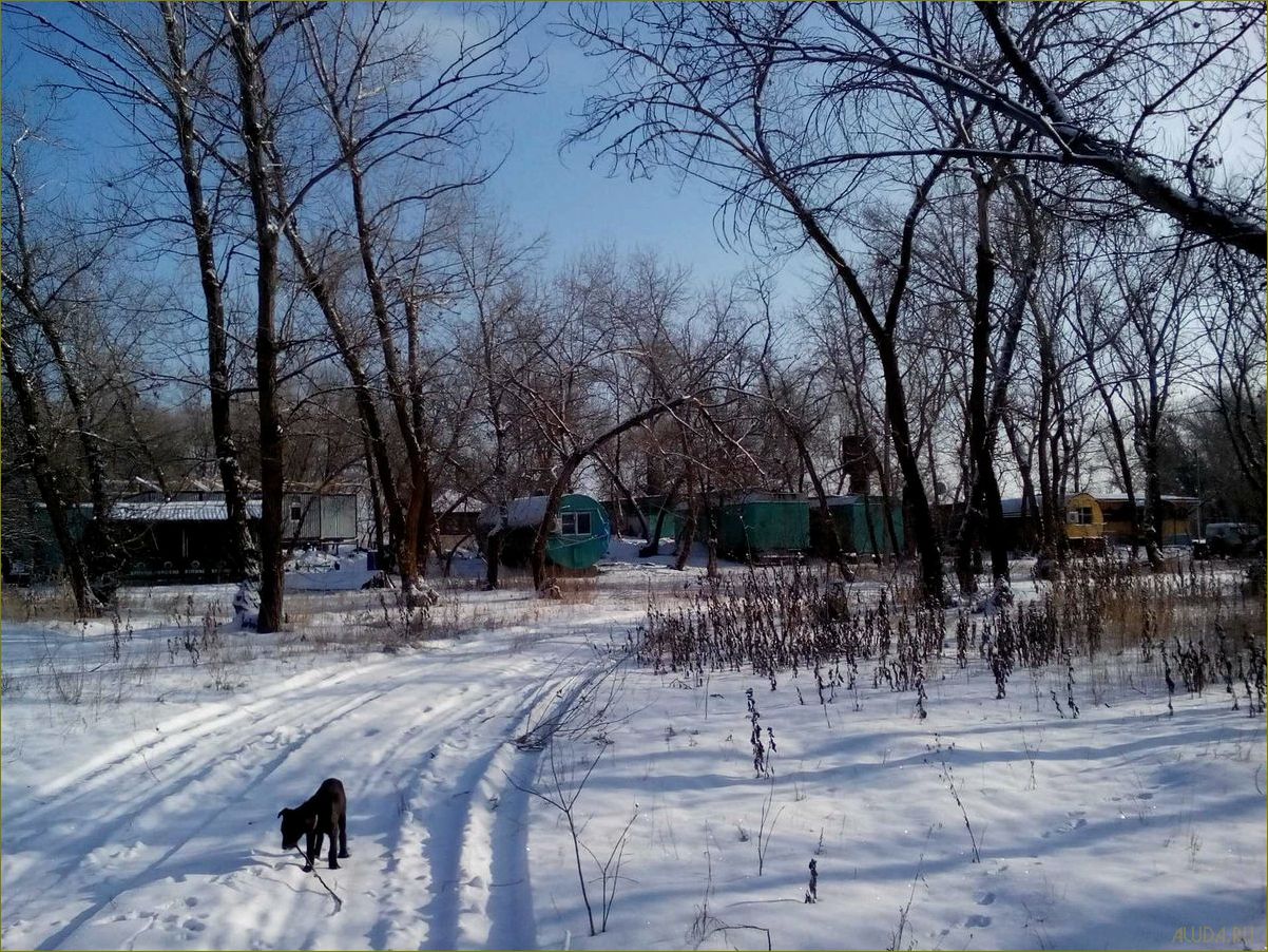 (уникальная, база, отдыха, астраханской, области) Уникальная база отдыха в Астраханской области среди лесов и рыбы, предлагающая незабываемые природные впечатления