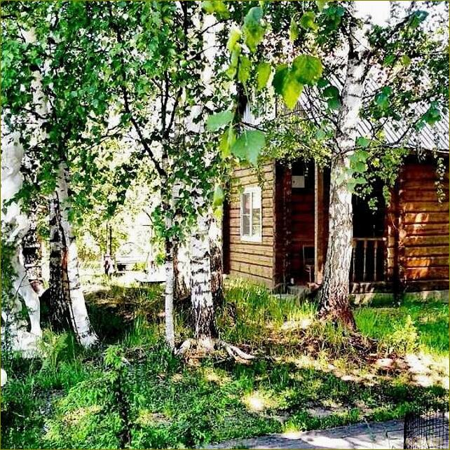 Уникальная база отдыха на живописном берегу Волги в Ивановской области предлагает незабываемый отдых в окружении природы и комфортные условия для отдыхающих