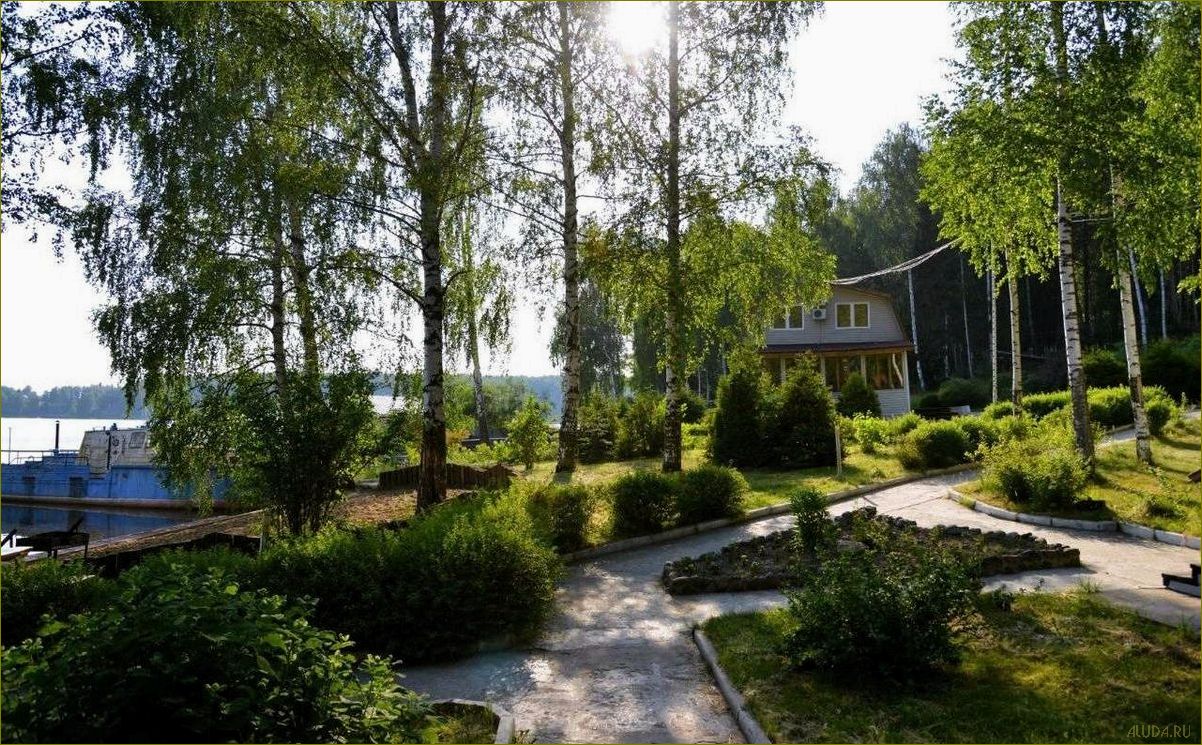 Уникальная база отдыха на живописном берегу Волги в Ивановской области предлагает незабываемый отдых в окружении природы и комфортные условия для отдыхающих