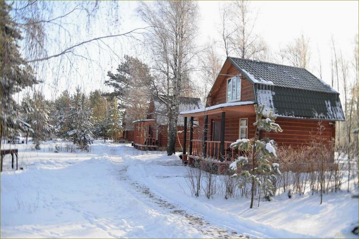 (база, отдыха, песчаном, побережье, белгородской) База отдыха на песчаном побережье Белгородской области — идеальное место для семейного отдыха и активного времяпровождения