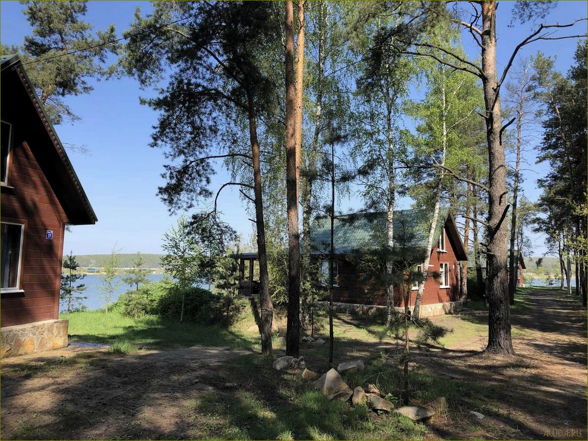 (база, отдыха, песчаном, побережье, белгородской) База отдыха на песчаном побережье Белгородской области — идеальное место для семейного отдыха и активного времяпровождения