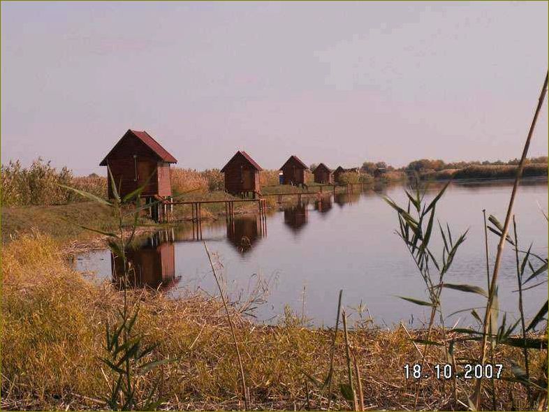 (база, отдыха, идеальное, место, тихой) База отдыха — идеальное место для тихой радости в прекрасной Астраханской области