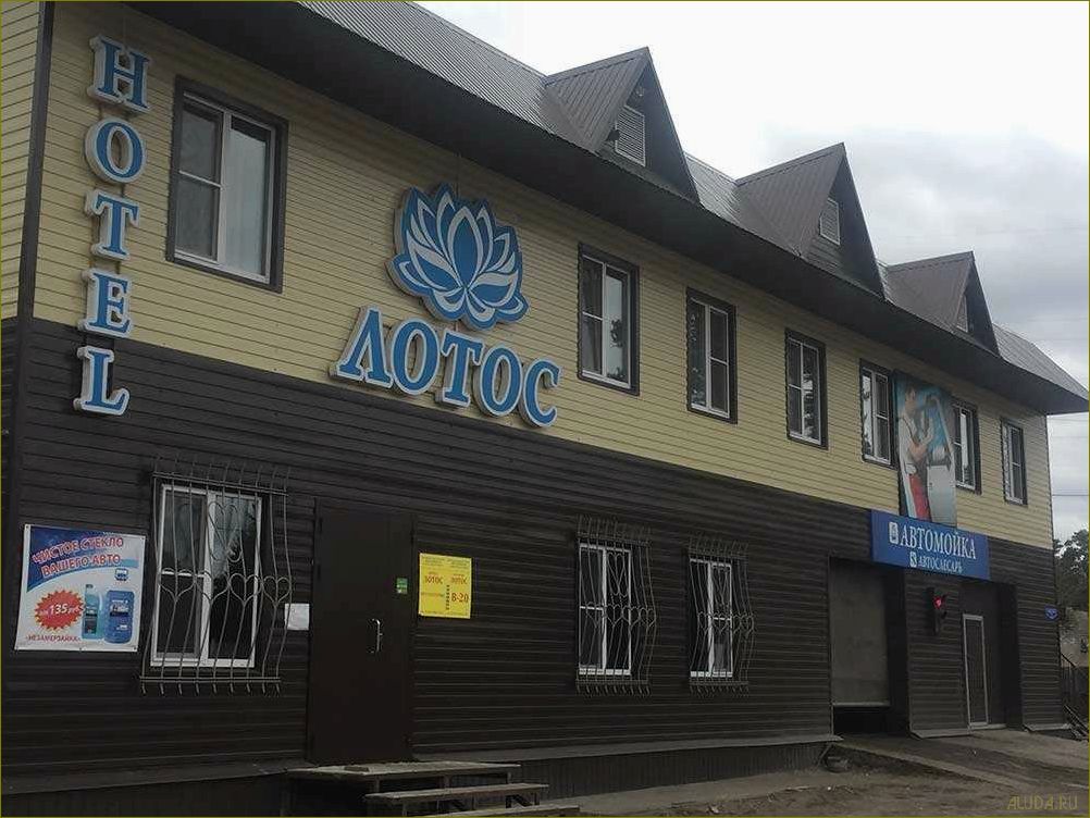 Идеальное место для отдыха и релаксации — база отдыха в прекрасной Белой Холунице Кировской области