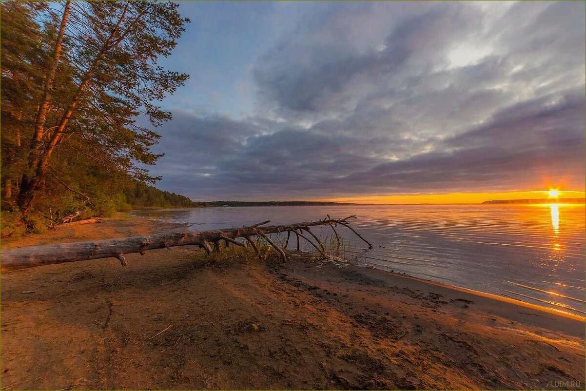 Идеальное место для отдыха и релаксации — база отдыха в прекрасной Белой Холунице Кировской области