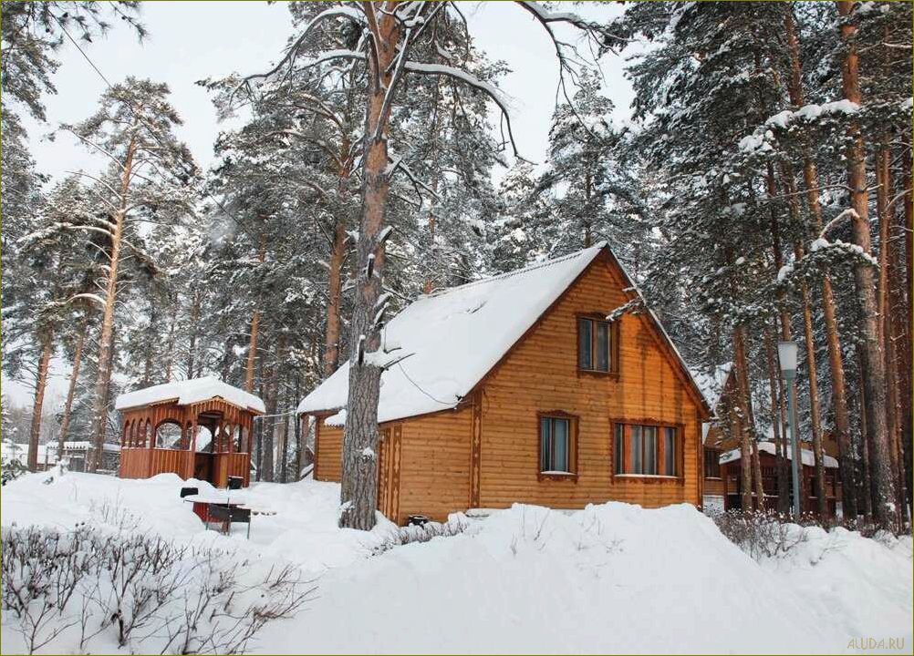 (база, отдыха, владимирская, область, зимний) База отдыха владимирская область зимний отдых — лучшие варианты для активного отдыха на природе, горнолыжного спорта и уникальных впечатлений!