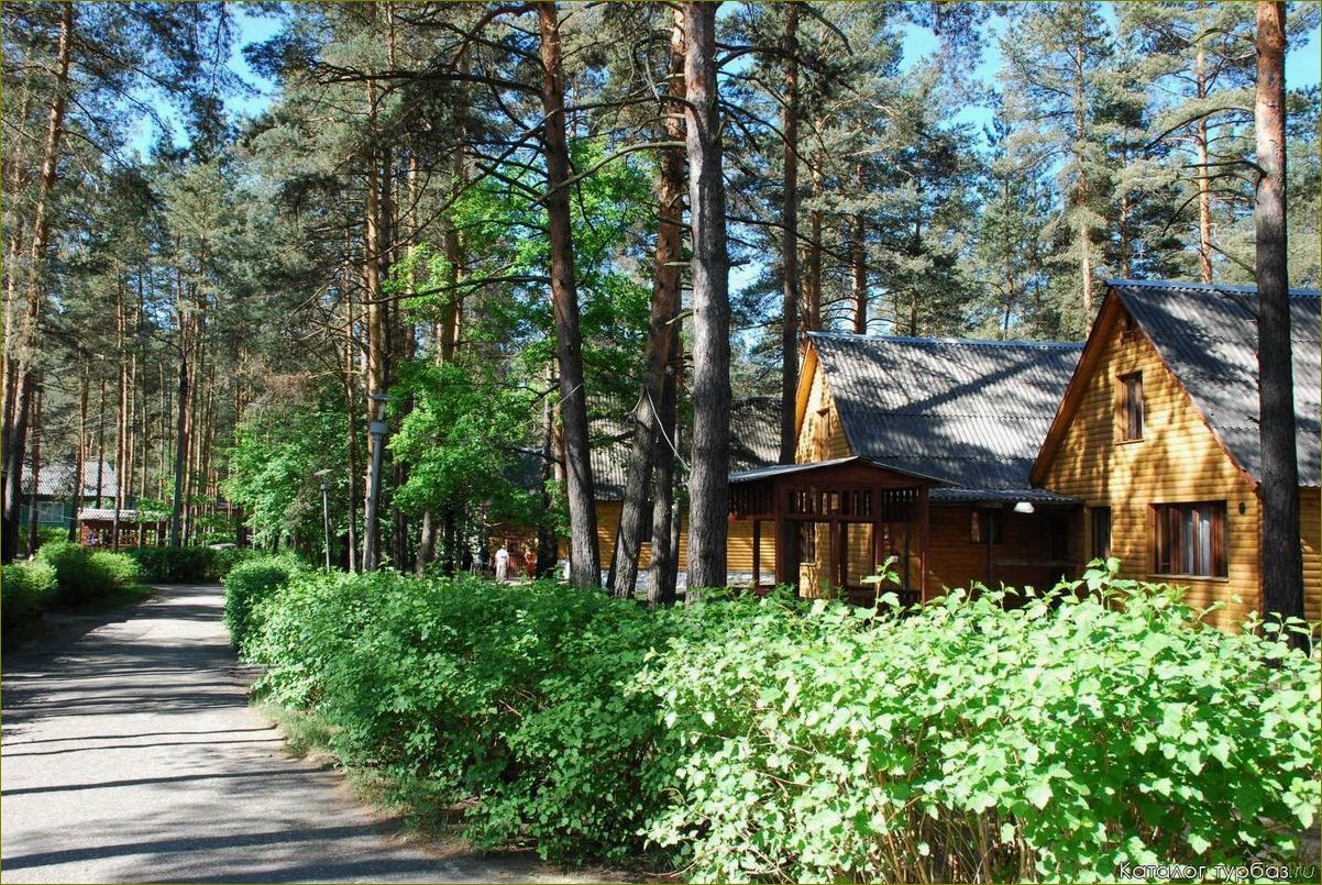 (база, отдыха, владимирская, область, зимний) База отдыха владимирская область зимний отдых — лучшие варианты для активного отдыха на природе, горнолыжного спорта и уникальных впечатлений!