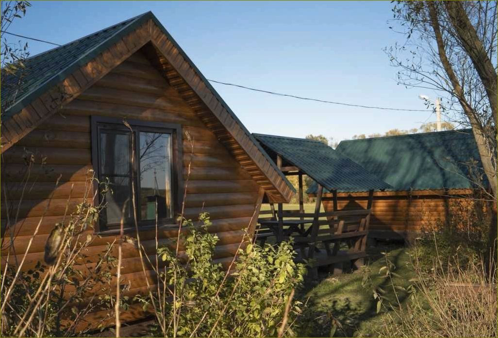 (уникальная, база, отдыха, заречье, липецкой) Уникальная база отдыха