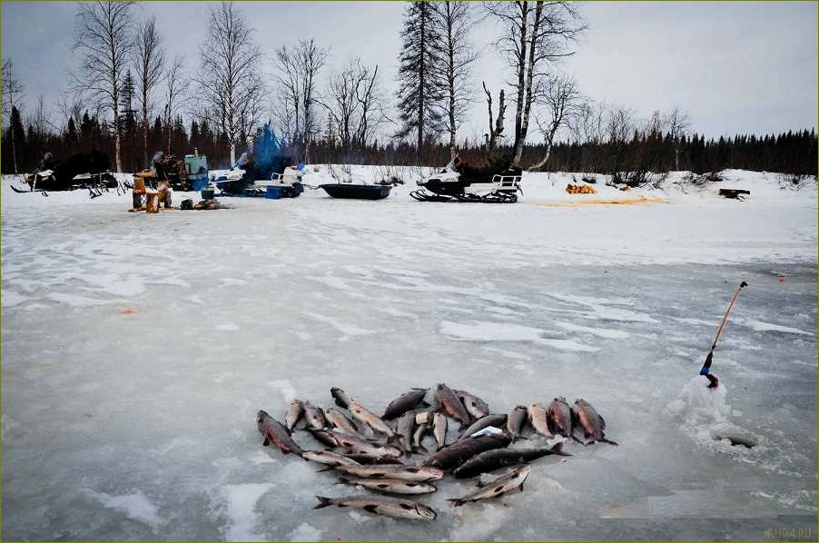Лучшие базы отдыха и рыбалки в живописной Архангельской области 