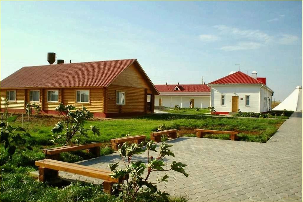 Лучшие базы отдыха в Астраханской области, где вы можете насладиться отпуском в компании своих любимых животных