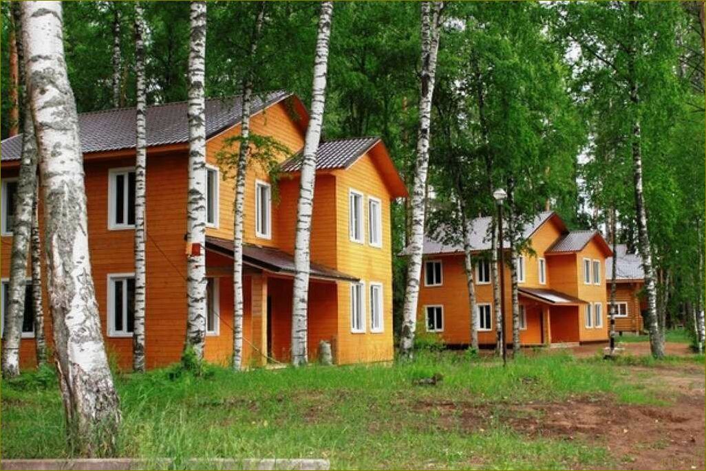 (лучшие, базы, отдыха, детьми, вологодской) Лучшие базы для отдыха с детьми в Вологодской области — где провести незабываемые каникулы в окружении природы и комфорта