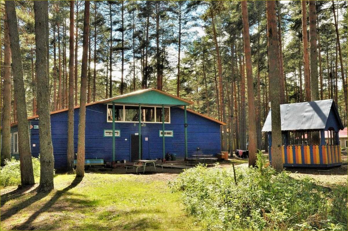 (лучшие, базы, отдыха, детьми, вологодской) Лучшие базы для отдыха с детьми в Вологодской области — где провести незабываемые каникулы в окружении природы и комфорта