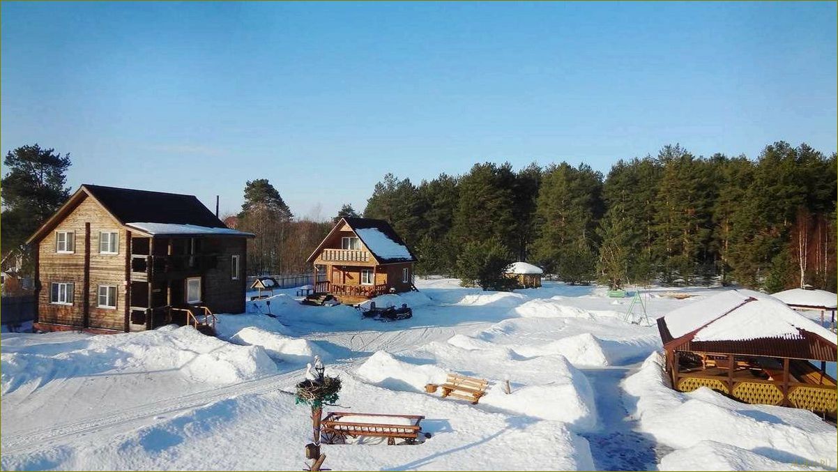 (лучшие, базы, отдыха, детьми, вологодской) Лучшие базы для отдыха с детьми в Вологодской области — где провести незабываемые каникулы в окружении природы и комфорта