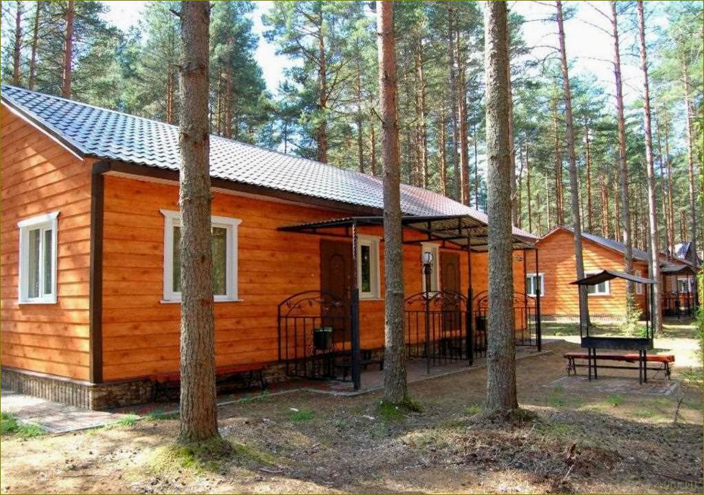 (лучшие, базы, отдыха, детьми, вологодской) Лучшие базы для отдыха с детьми в Вологодской области — где провести незабываемые каникулы в окружении природы и комфорта