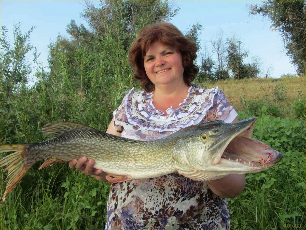 Путешествие в мир уникальных баз отдыха Ахтубинска Астраханской области 