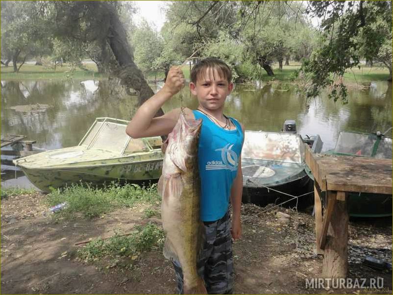 Базы отдыха Астраханской области — наслаждение камышовым раем для отдыха и развлечений