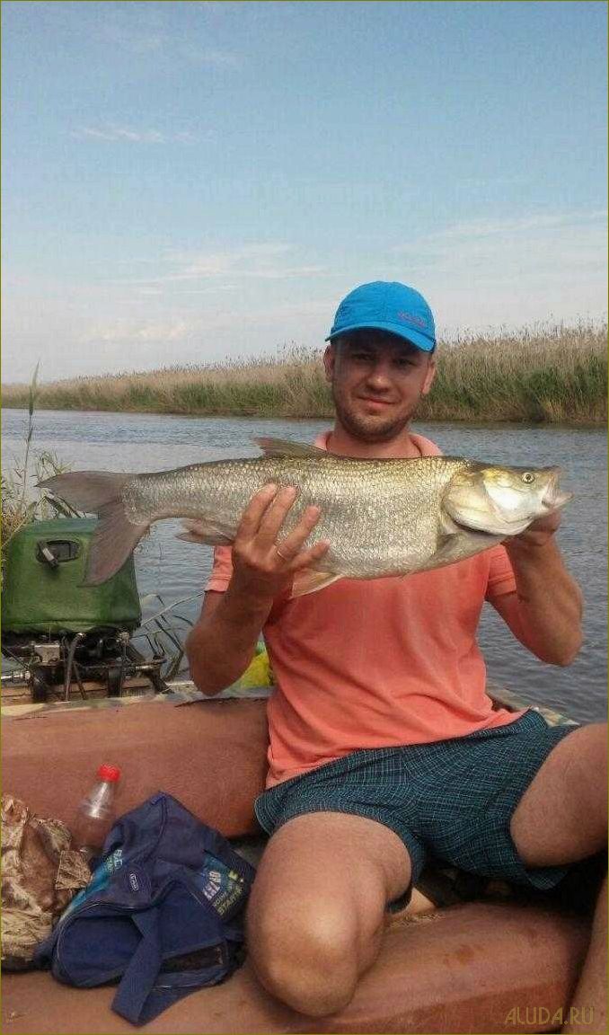 Базы отдыха Астраханской области — наслаждение камышовым раем для отдыха и развлечений