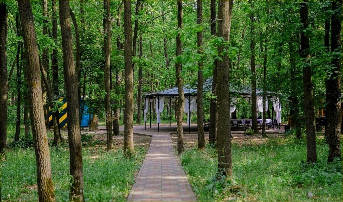 (лучшие, базы, отдыха, территории, белгородской) Лучшие базы отдыха на территории белгородской области для незабываемого отдыха и полного релакса