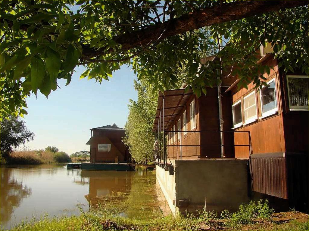 Лучшие базы отдыха в Астраханской области, где вы можете насладиться отпуском в компании своих любимых животных