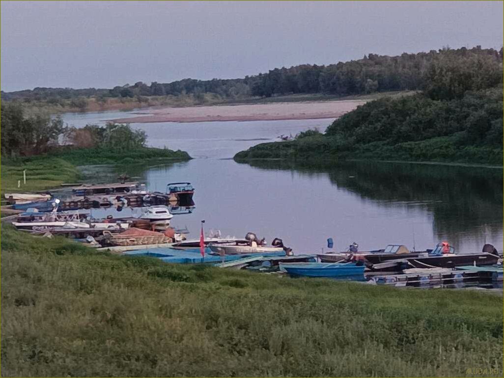 Лучшие базы отдыха в Астраханской области, где вы можете насладиться отпуском в компании своих любимых животных
