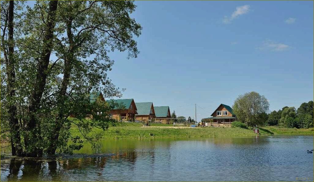 Лучшие базы отдыха во Владимирской области с живописными реками и идеальными условиями для отдыха и развлечений